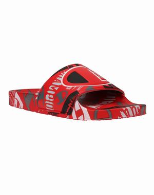 Men's Champion IPO C Logo Slides Deep Red / Black / Grey | EPGLN8726