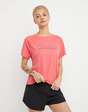 Women's Champion Absolute Chromatic Script Logo T Shirts Green | BQTNP0965