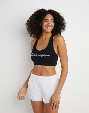 Women's Champion The Authentic Sports Script Logo Bras Black | WBXDL6248