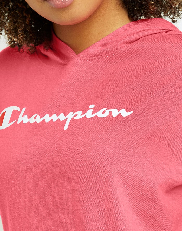 Women's Champion Midweight Script Logo Hoodie Grey | KTLMW4958