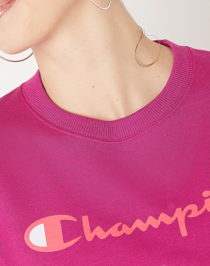 Women's Champion POWERBLEND FLEECE RELAXED SCRIPT LOGO Hoodie Purple | OELIJ5428