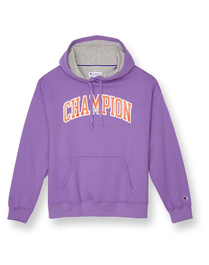 Women\'s Champion Powerblend Fleece High Density Arch Logo Hoodie Purple / Grey | WFBQA8145