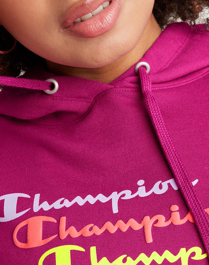 Women's Champion Powerblend Fleece Relaxed Stacked Scripts Logo Hoodie Green | LVOGM9740