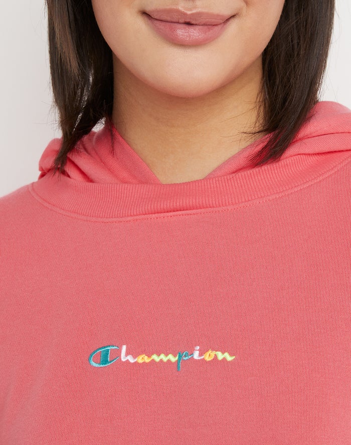 Women's Champion Summers Campus Logo Hoodie Black | YEKZR6019